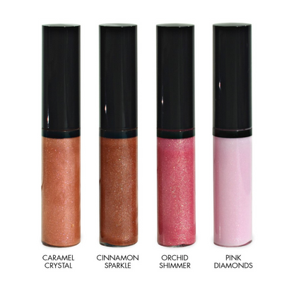 Perfect Shimmer Lip Gloss All + Names 11.21